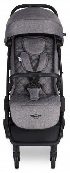 Коляска прогулочная Easywalker Jackey Buggy Snap by MINI, серый купить,NaN