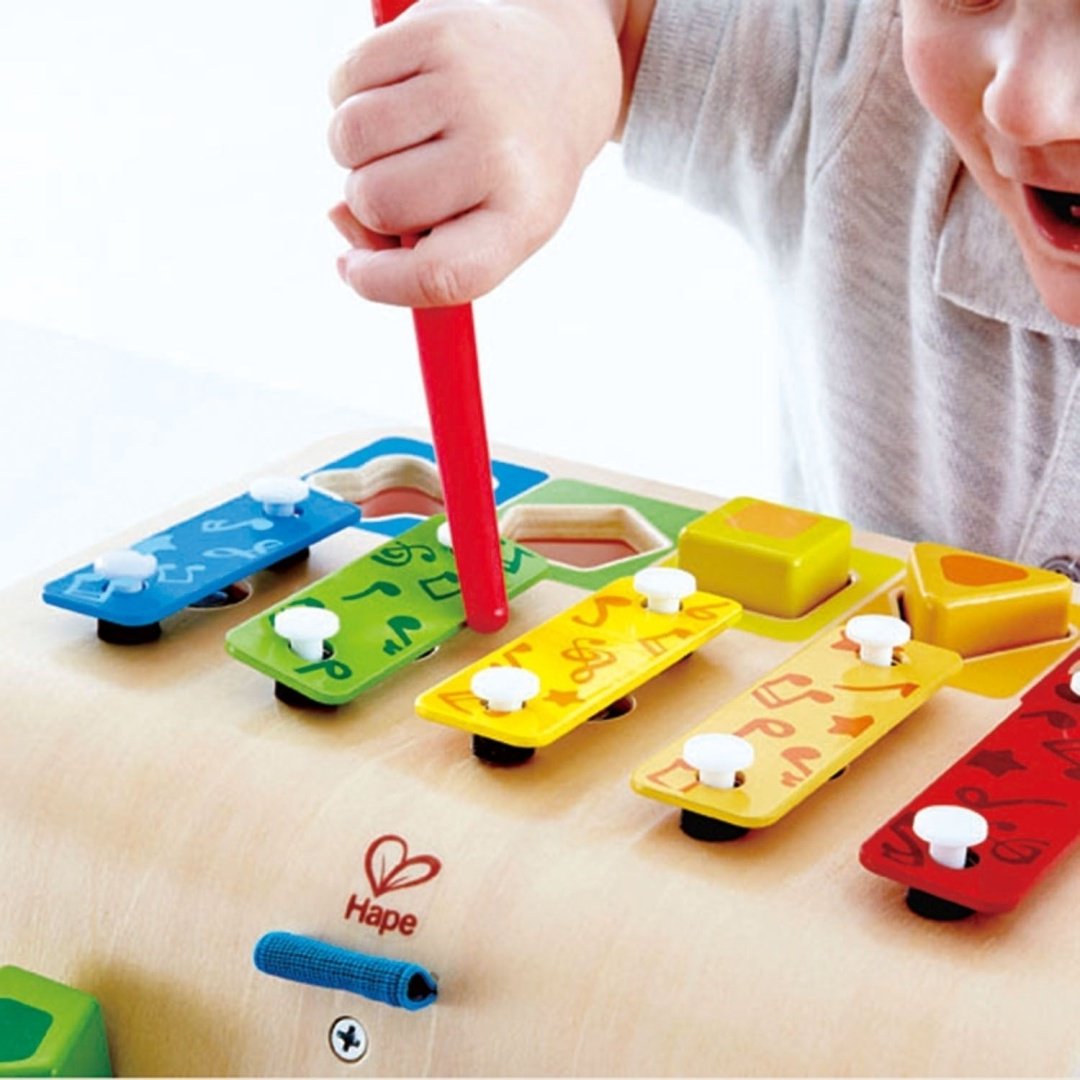 Hape E0334_HP Сортер-ксилофон - ForteMarket Hape E0334_HP Сортер-ксилофон купить,0