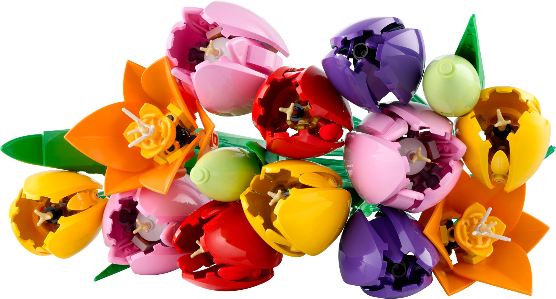 Конструктор LEGO Botanicals 11501, деталей 576 шт