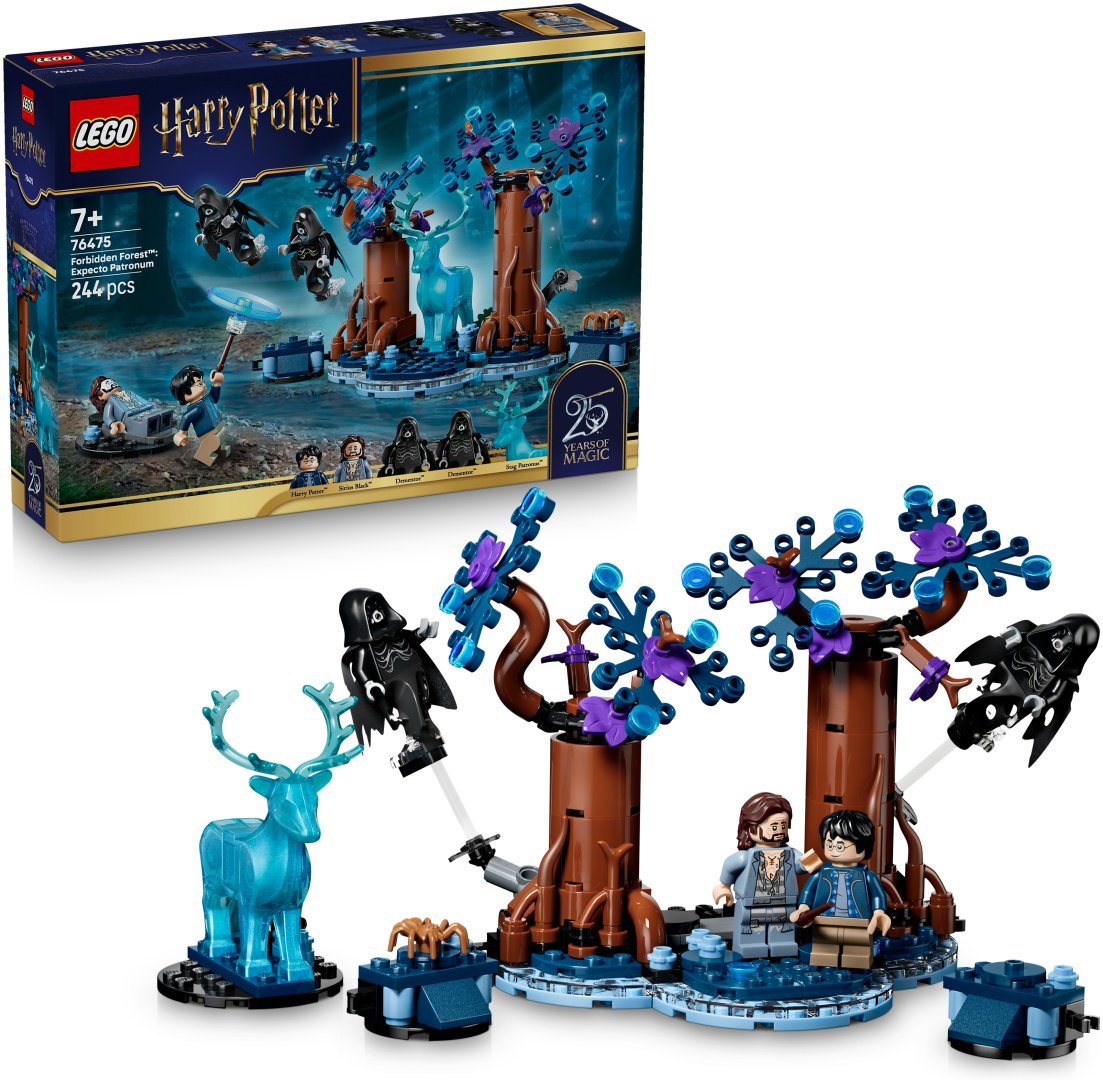Конструктор LEGO Harry Potter 76475, деталей 244 шт
