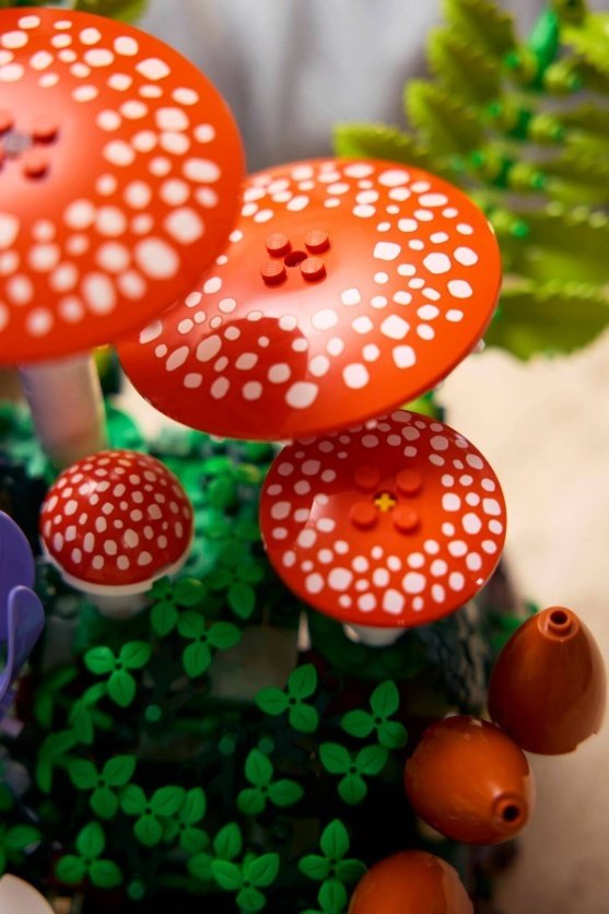 Конструктор LEGO The Botanical Collection 11505, деталей 806 шт купить,66245