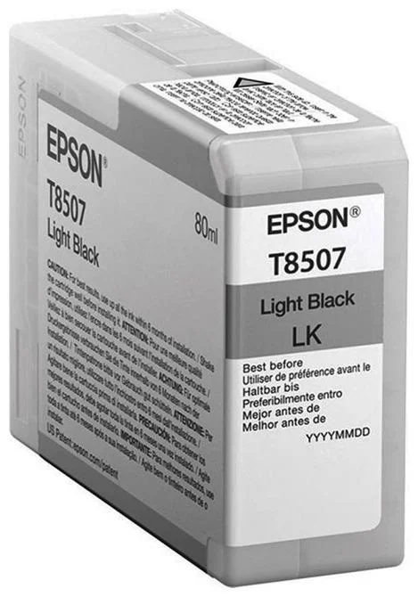 Картридж струйный Epson C13T850700 T850700 Light Black   купить,NaN