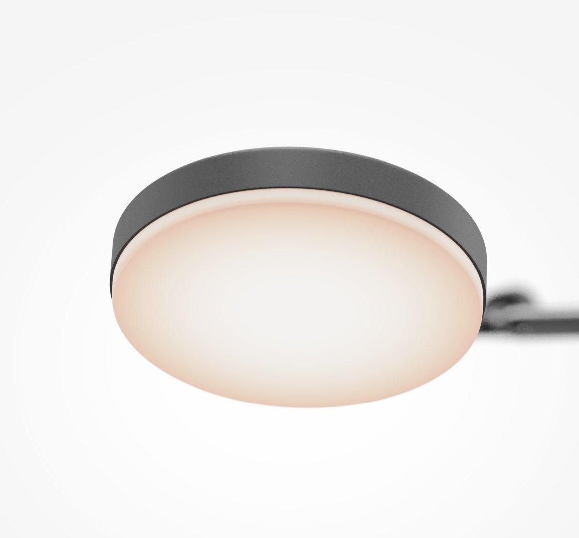 Люстра подвесная Maytoni LED, кол-во ламп: 1 шт купить,NaN