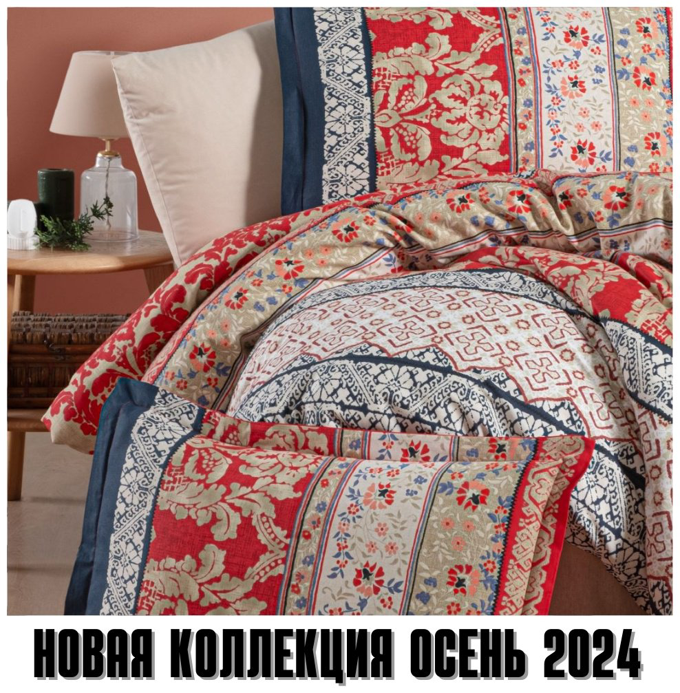 Комплект CLASY Clasy 2024 евростандарт хлопок, ранфорс, 2 наволочки: 50x70 см купить,NaN