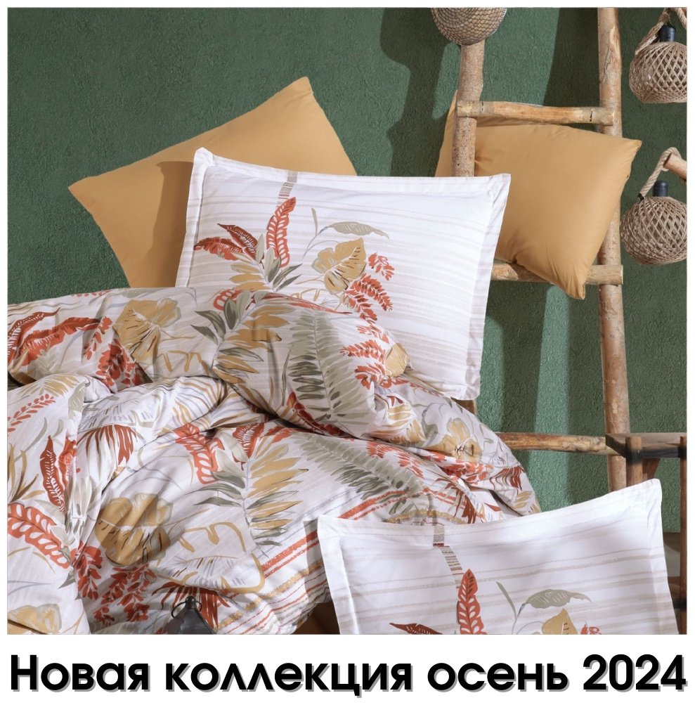 Комплект CLASY евростандарт хлопок, ранфорс, : 50x70 см