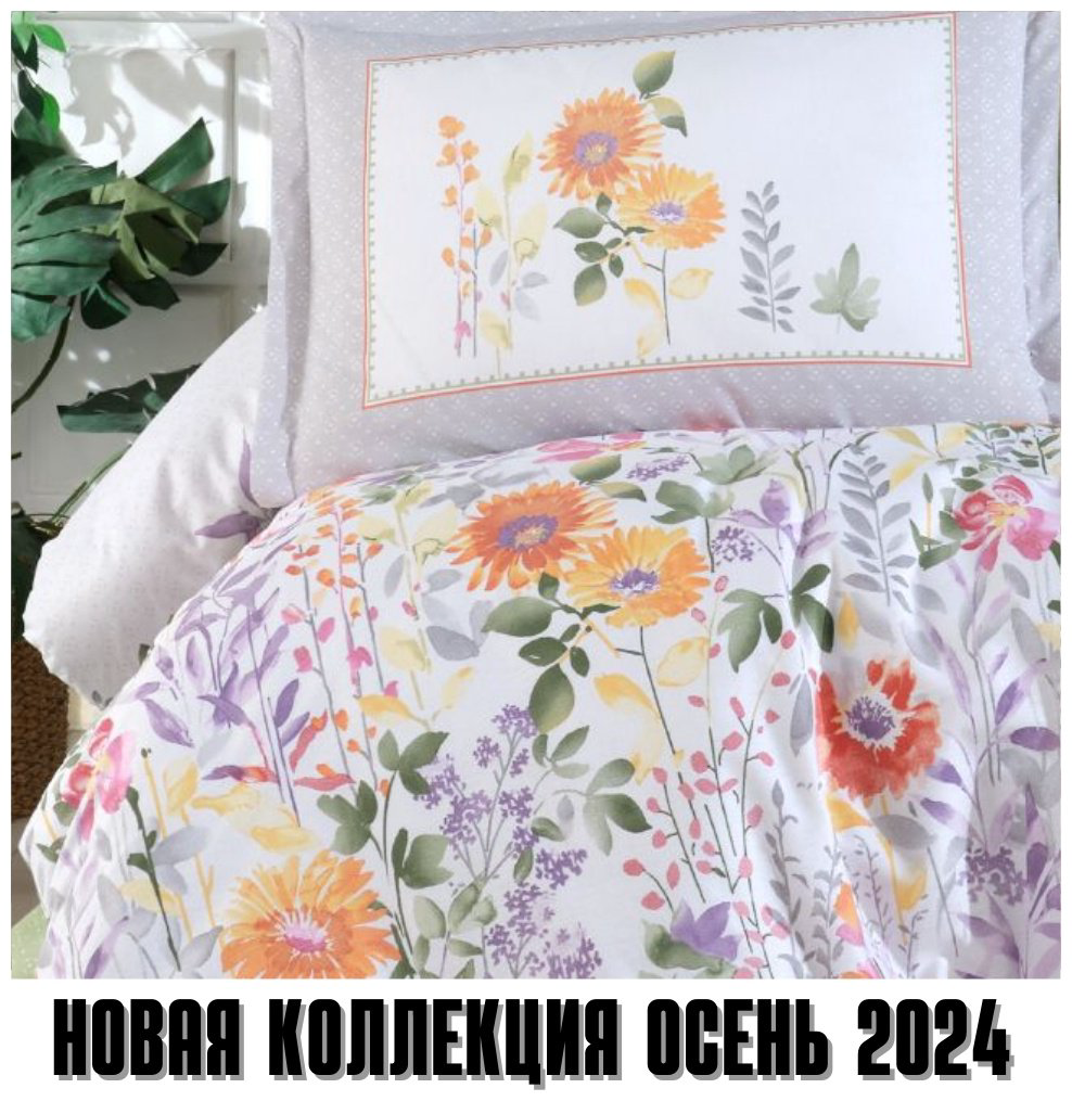 Комплект CLASY евростандарт хлопок, ранфорс, : 50x70 см купить,NaN