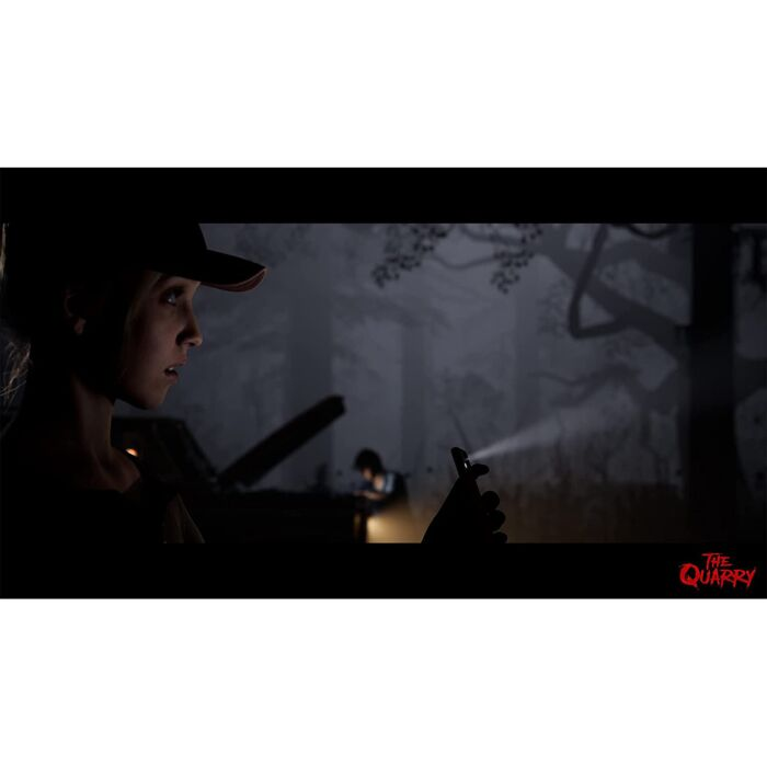 Видеоигра для PS4 The Quarry купить,NaN
