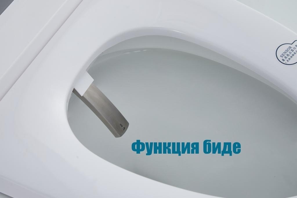 Унитаз-биде 165335, керамика купить,0