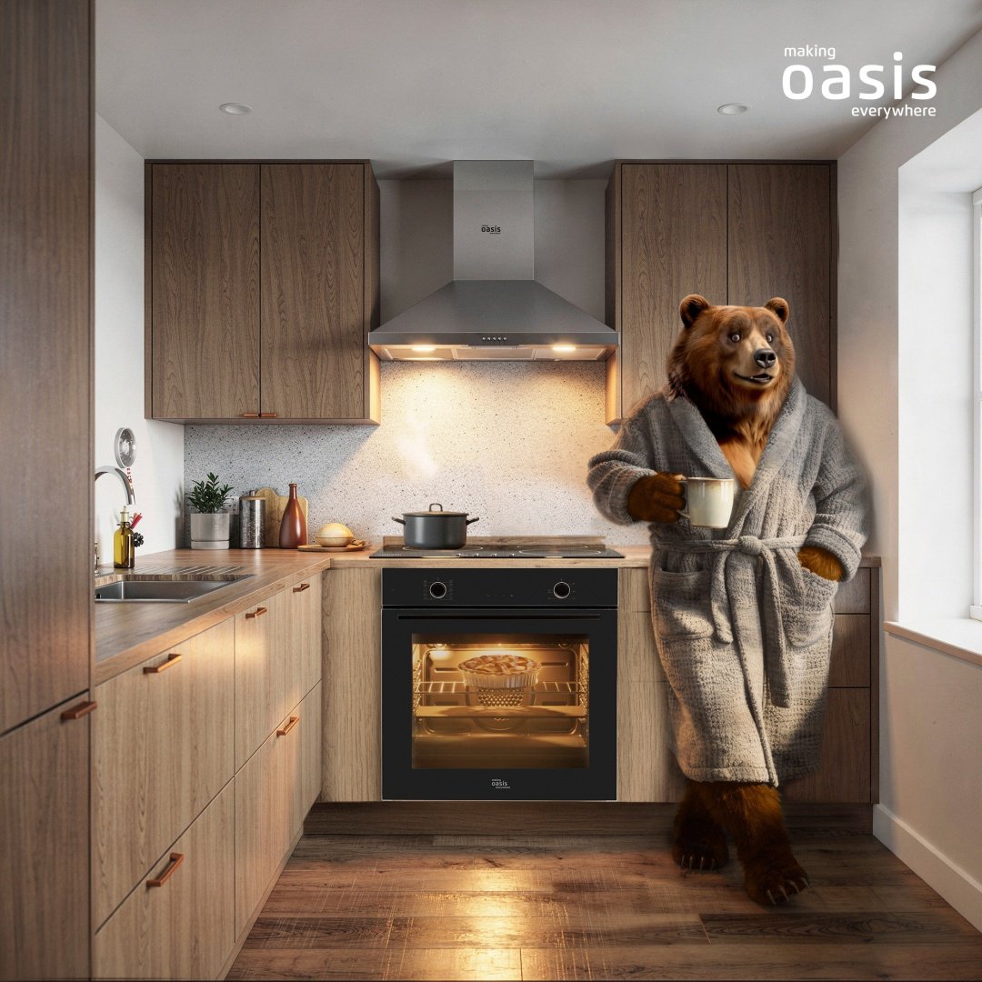 Духовой шкаф Oasis D-SWB черный
