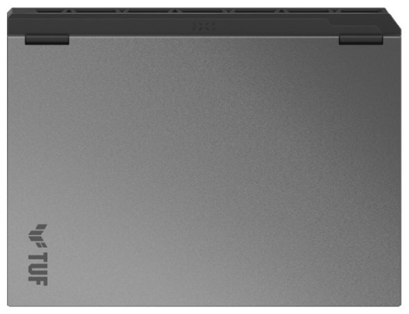 Ноутбук ASUS TUF Gaming F16 16" / 16 Гб / SSD 1000 Гб / DOS / FX608JPR-RV118 купить,964183