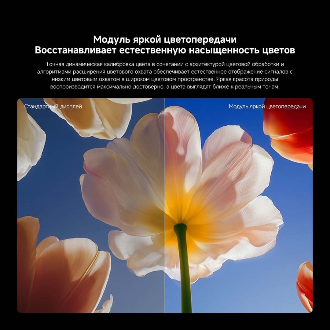 Телевизор Xiaomi TV S Mini LED 65 2026 165 см серый купить,599985