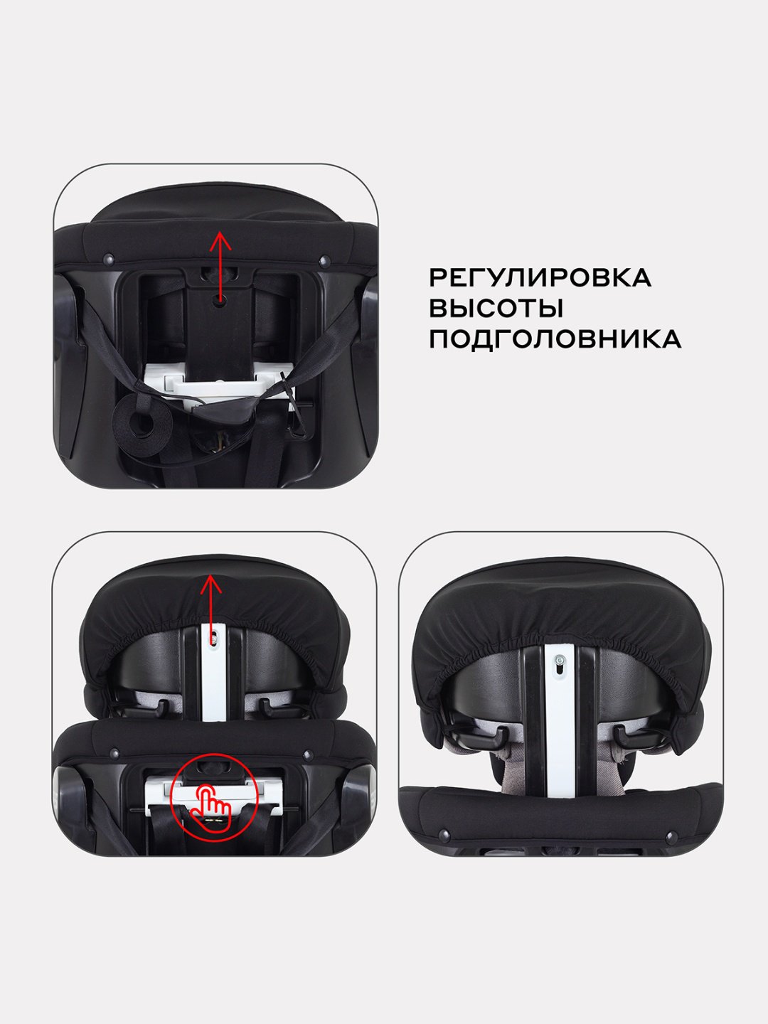 RANT Nitro plus 0/1/2/3 (до 36 кг) зеленый купить,0