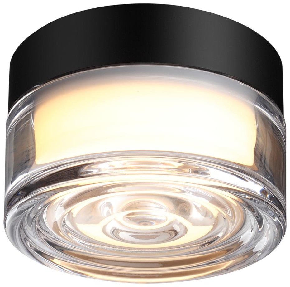Светильник настенно-потолочный Odeon Light LED 6 Вт прозрачный купить,NaN