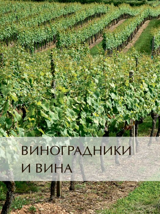 Энциклопедия Ларусс Вино купить,NaN