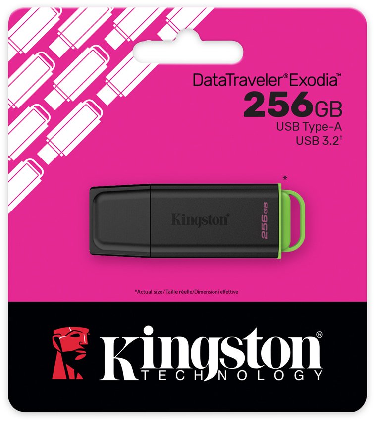USB Flash карта Kingston DTXG2/256GB 256 Гб черный