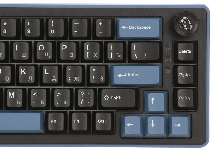 Клавиатура Ducky OK-M-65 DKOKM2567-KYRUPDCOCH1 синий купить,NaN
