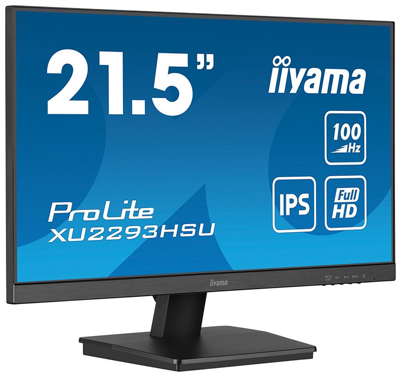 Монитор 21.5" Iiyama ProLite PL2293HS XU2293HSU-B6 черный купить,NaN