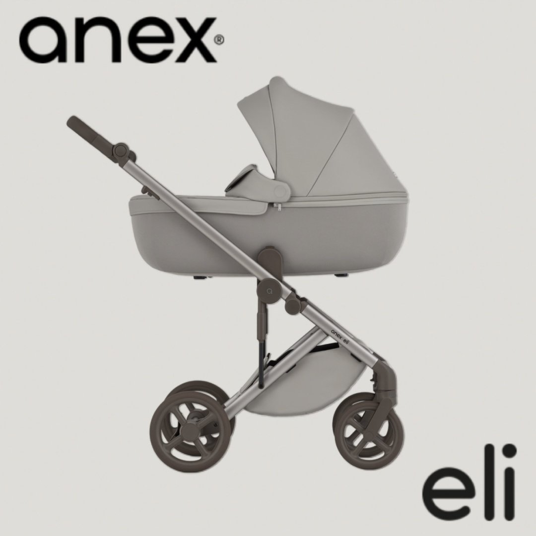 Коляска универсальная 2 в 1 Anex Eli Granti, серый