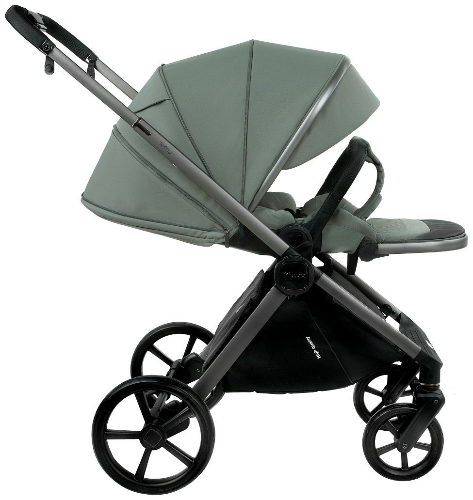 Коляска универсальная 2 в 1 Pituso Teffy TFY/999/Sage Green, оливковый купить,301000