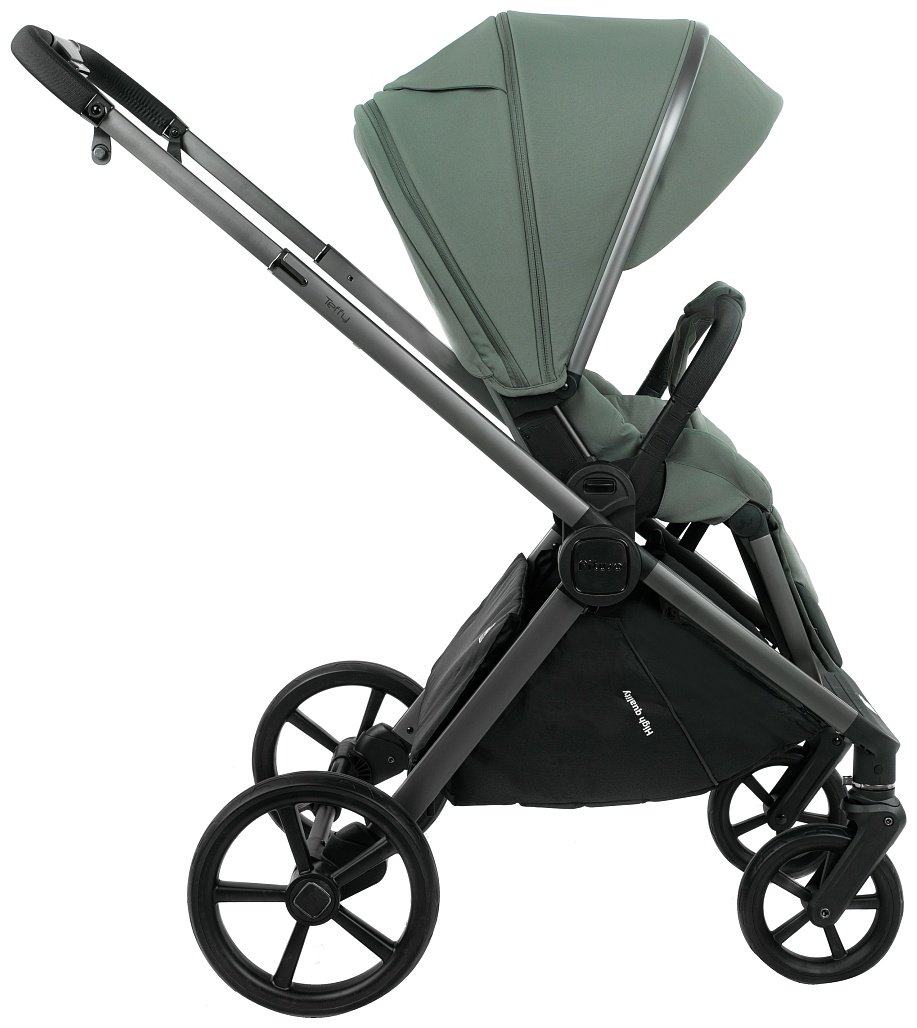 Коляска универсальная 2 в 1 Pituso Teffy TFY/999/Sage Green, оливковый купить,301000