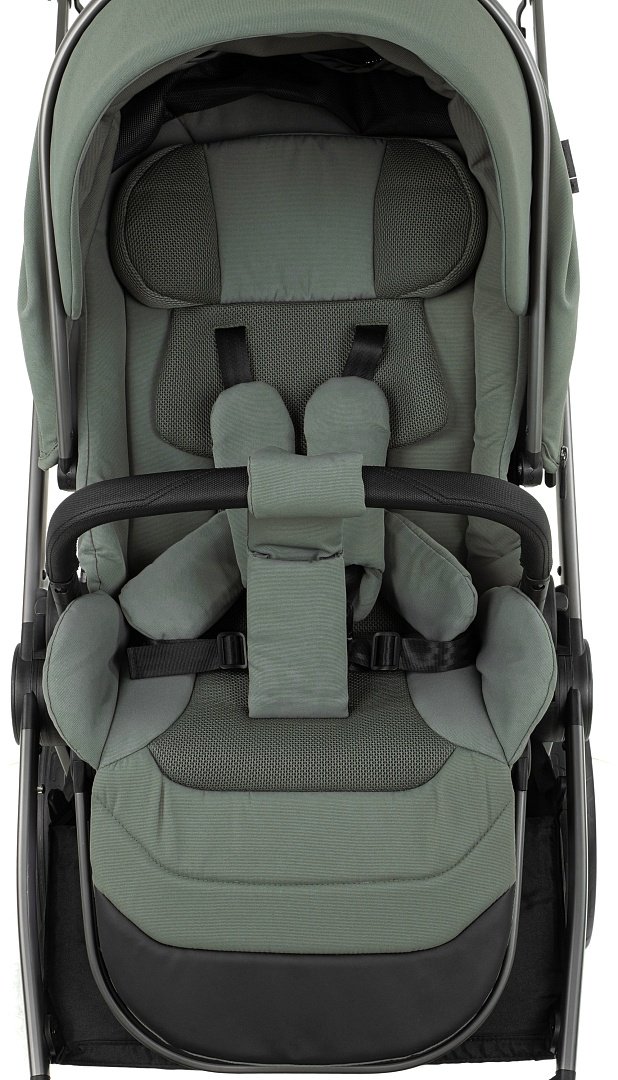 Коляска универсальная 2 в 1 Pituso Teffy TFY/999/Sage Green, оливковый купить,301000