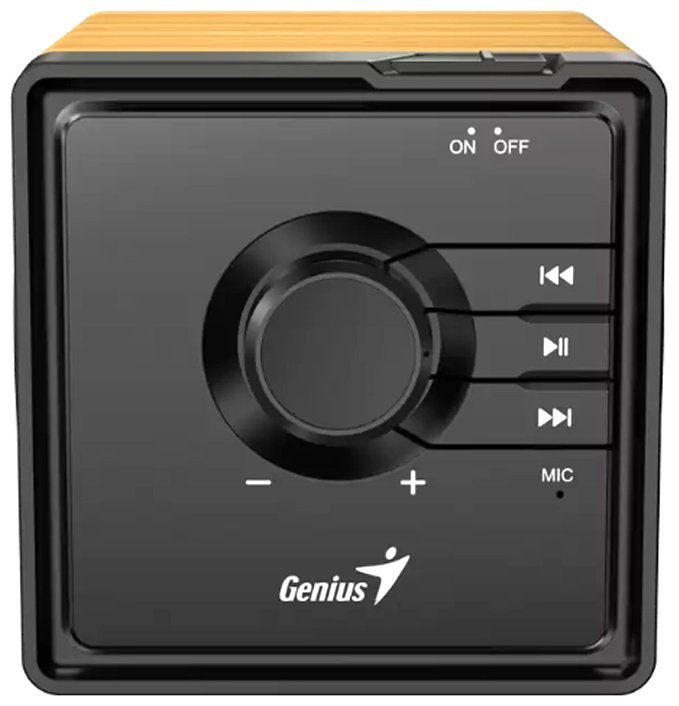Портативная колонка Genius SP-916BT черный купить,8091