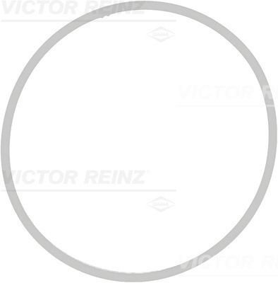 REINZ прокладка впускного коллектора 713940900