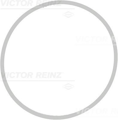REINZ прокладка впускного коллектора 713940900