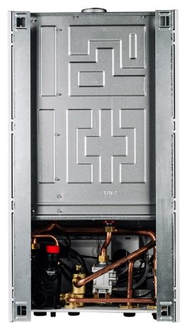 Газовый котел TeploROSS AGB 24 DY с дымоходом - ForteMarket Газовый котел TeploROSS AGB 24 DY с дымоходом купить,0