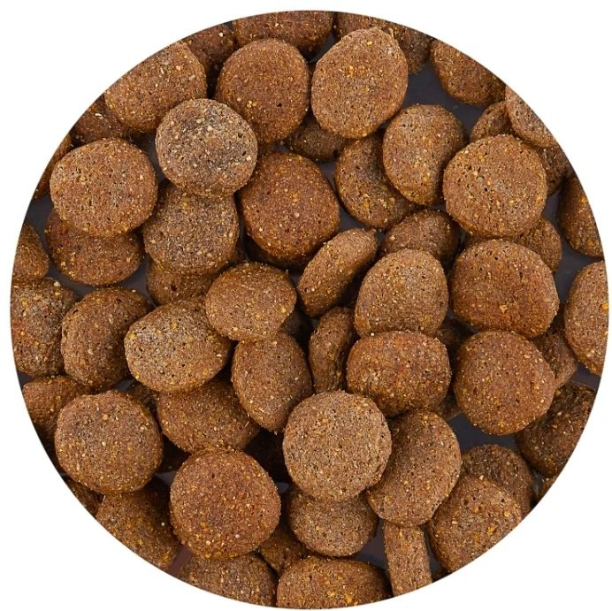 Корм Monge All Breeds Adult Ягненок с рисом и картофелем для взрослых всех пород 12 кг купить,NaN