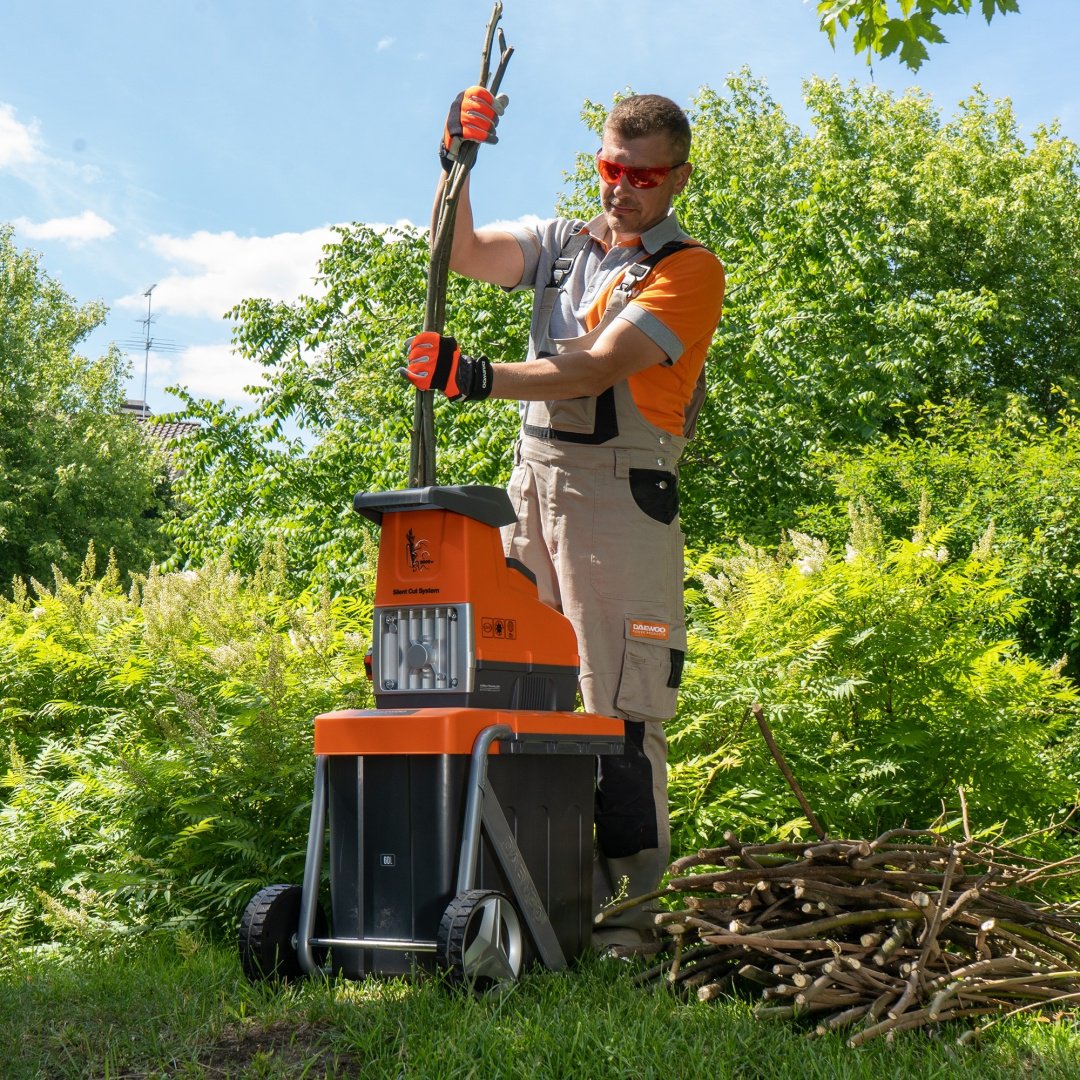 Измельчитель Daewoo DSR 3000E купить,0