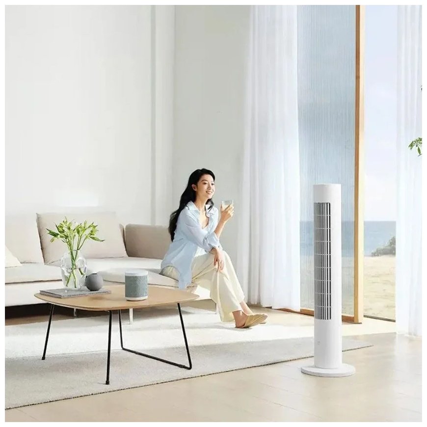 Вентилятор Xiaomi BPTS02DMU/BHR8846EU белый купить,NaN