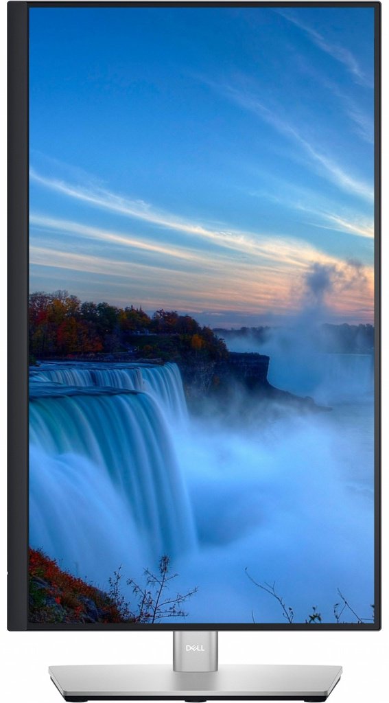 Монитор 23.8" DELL P2422H серебристый купить,NaN