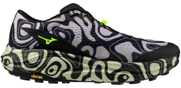 Кроссовки Mizuno Neo Accera мультиколор