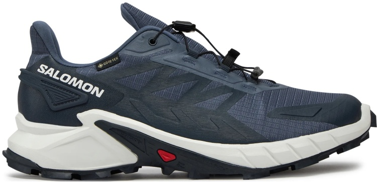Кроссовки Salomon Supercross 4 gtx L47462300 серый 9.5 44  купить,NaN