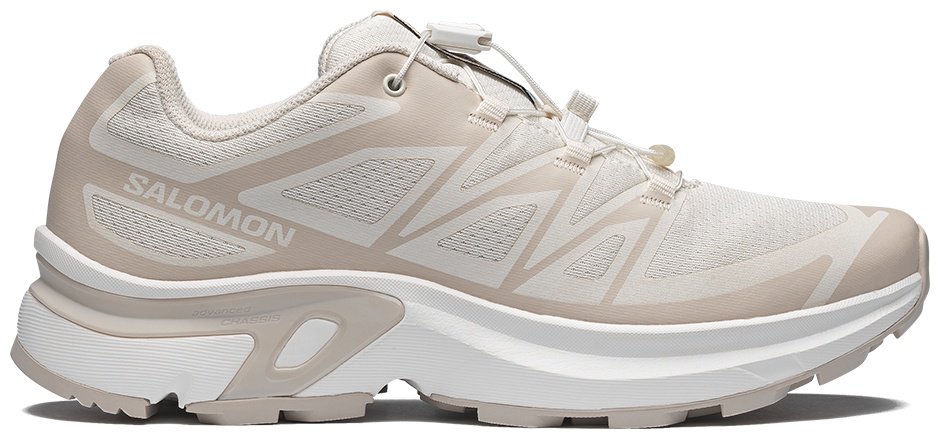 Кроссовки Salomon Xt-Evr бежевый