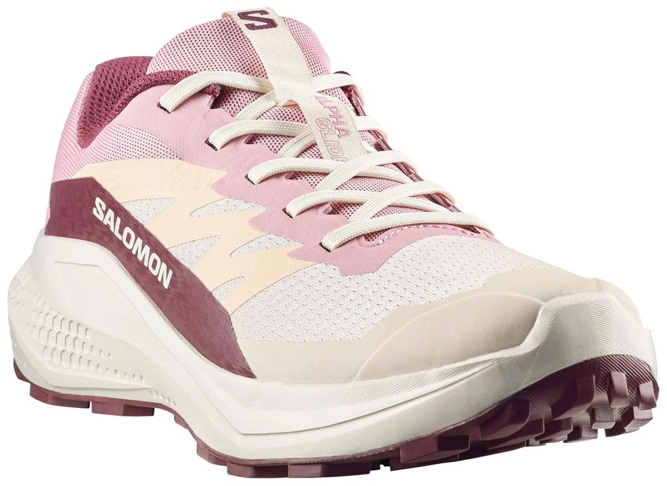 Кроссовки Salomon Alphaglide розовый купить,59900