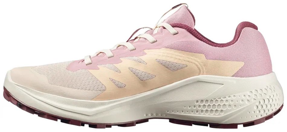 Кроссовки Salomon Alphaglide розовый купить,59900