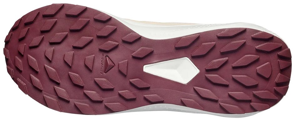 Кроссовки Salomon Alphaglide розовый купить,59900