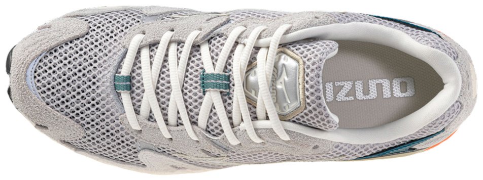 Кроссовки Mizuno Wave Rider 10 серый купить,99900