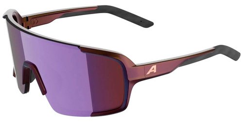 ALPINA солнцезащитные очки овальные УФ-фильтр купить,NaN
