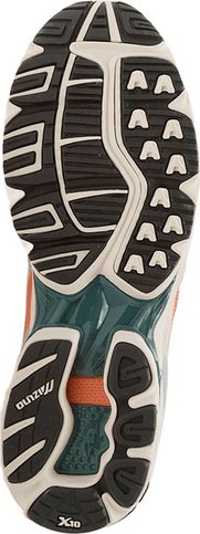 Кроссовки Mizuno Wave Rider 10 белый купить,NaN