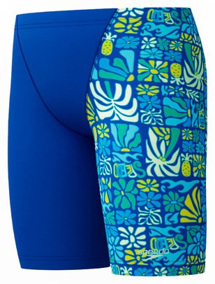 Шорты Speedo синий, зеленый купить,NaN