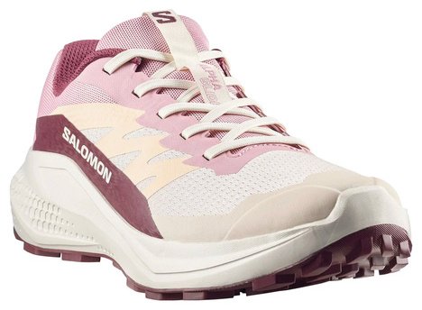 Кроссовки Salomon Alphaglide бежевый, розовый, фиолетовый купить,59900