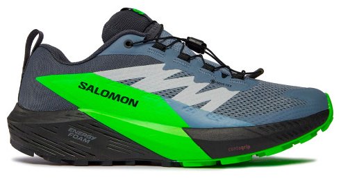 Кроссовки Salomon Sense ride 5 gtx серый купить,NaN