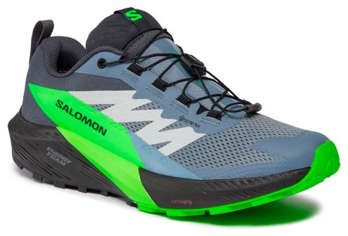 Кроссовки Salomon Sense ride 5 gtx серый купить,NaN