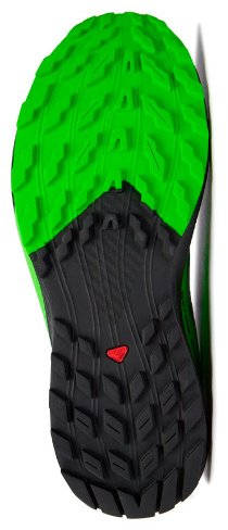 Кроссовки Salomon Sense ride 5 gtx серый купить,NaN