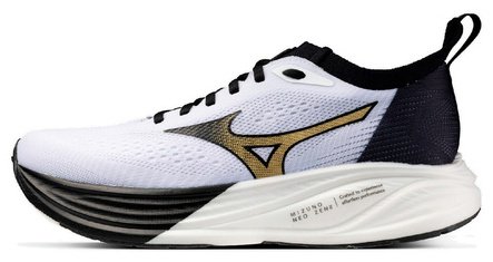 Кроссовки Mizuno мультиколор купить,89900