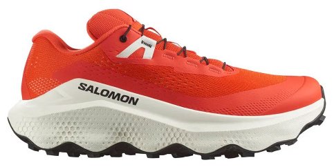 Кроссовки Salomon красный купить,84900
