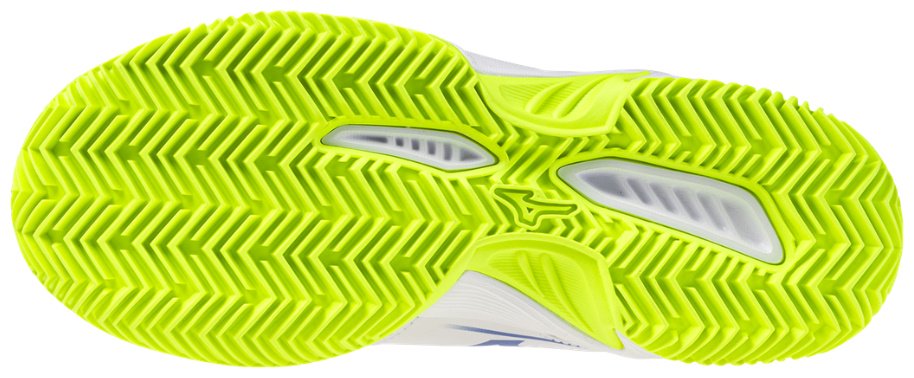 Кроссовки Mizuno Break Shot 5 Cc белый